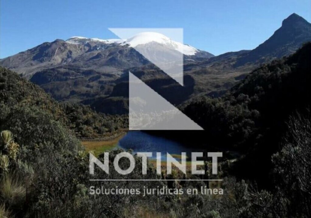 Actualidad